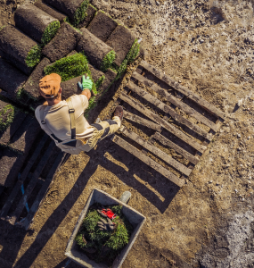 photo homme qui pose du gazon